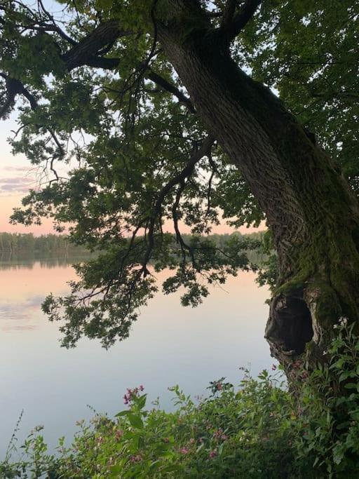 Vila Příjemná chaloupka na Třeboňsku Chlum u Trebone Exteriér fotografie