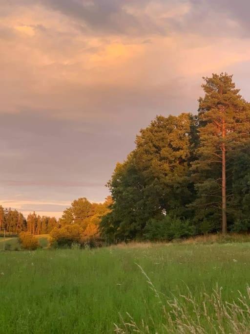 Vila Příjemná chaloupka na Třeboňsku Chlum u Trebone Exteriér fotografie